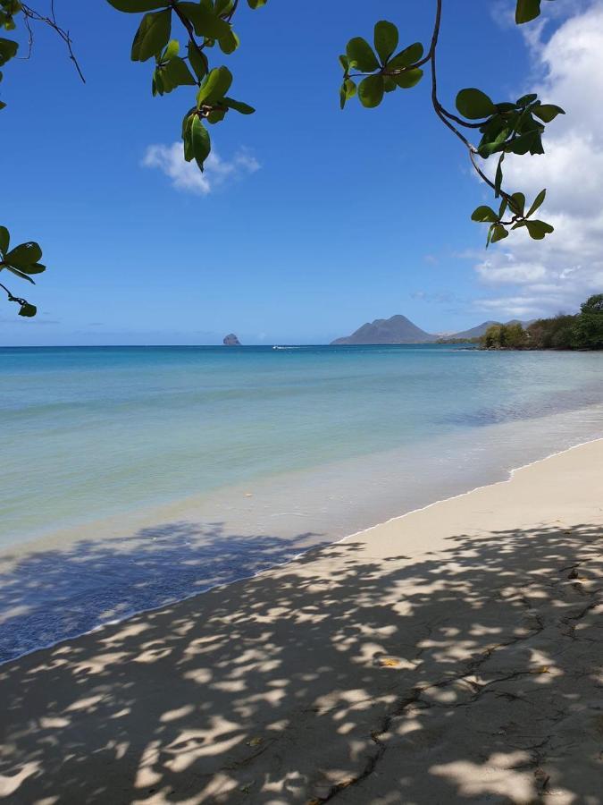 Ste Luce, N° 11 Appart -300M Plage De Mabouyas Corps de Garde Εξωτερικό φωτογραφία