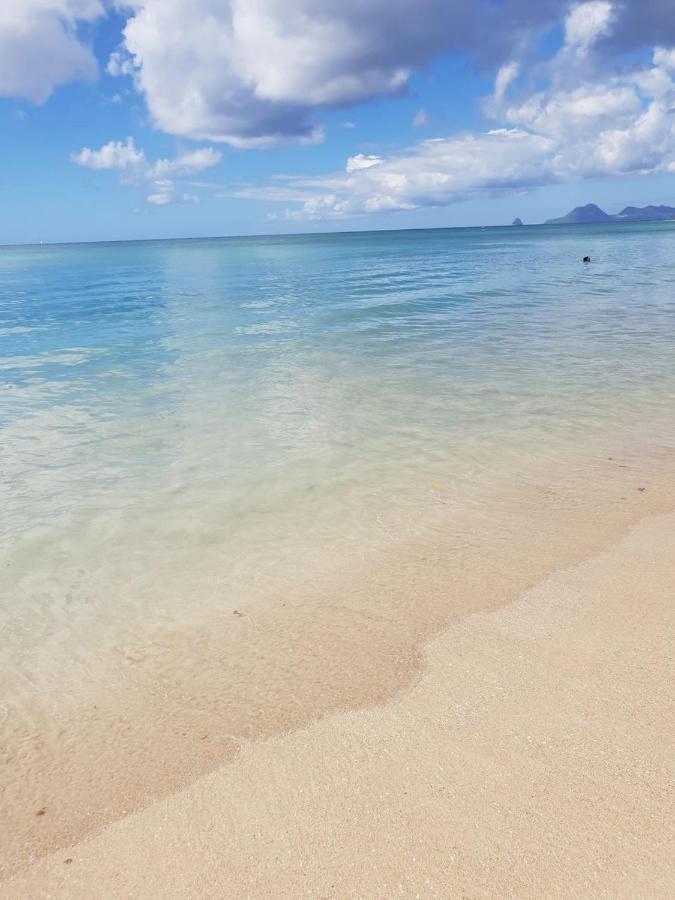 Ste Luce, N° 11 Appart -300M Plage De Mabouyas Corps de Garde Εξωτερικό φωτογραφία