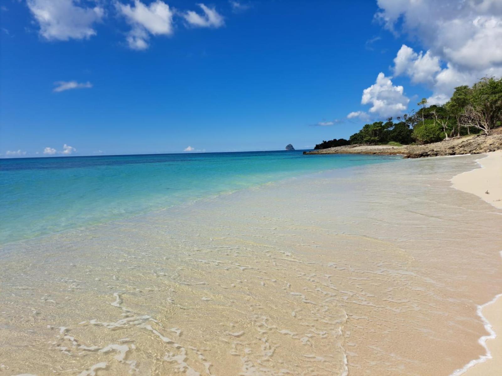Ste Luce, N° 11 Appart -300M Plage De Mabouyas Corps de Garde Εξωτερικό φωτογραφία